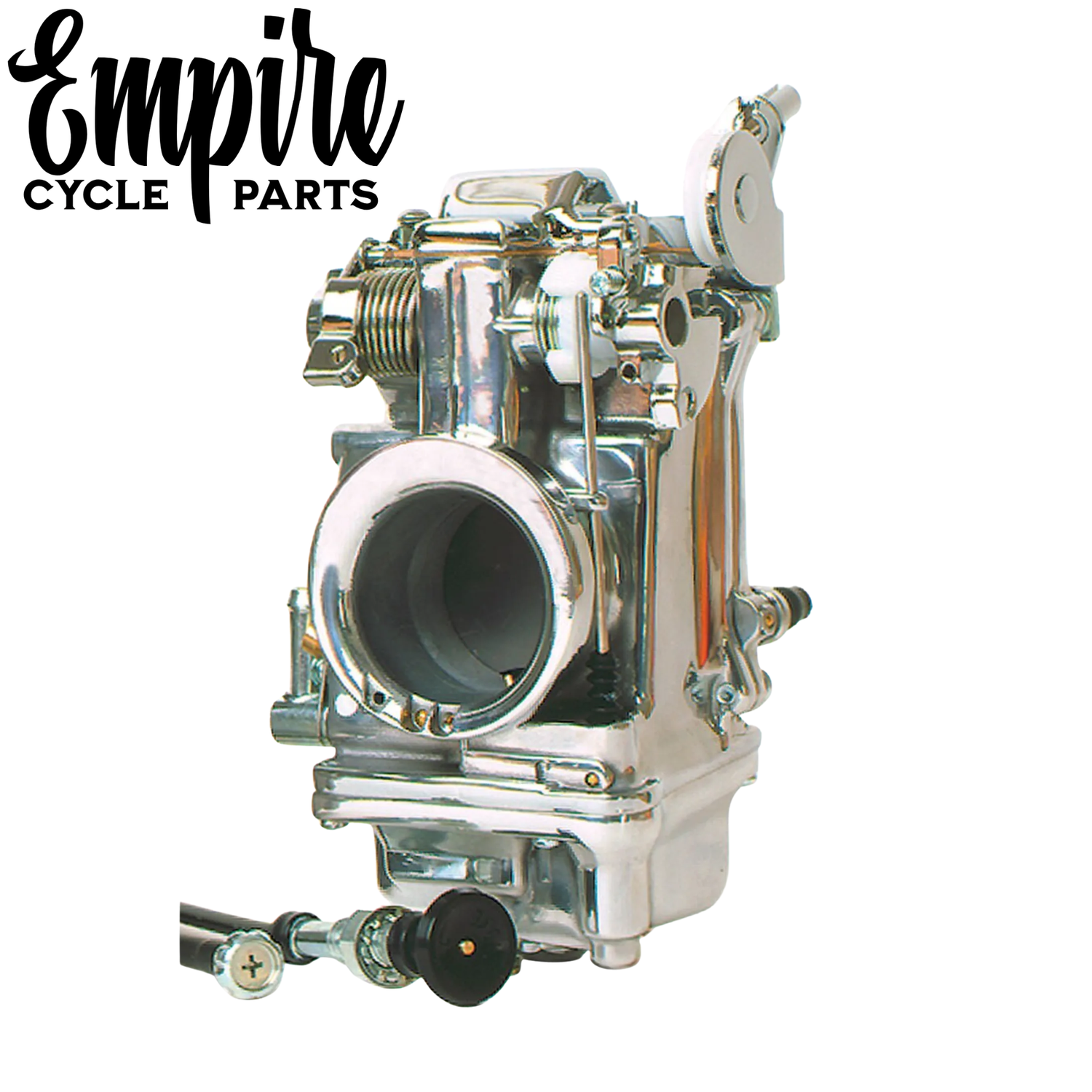 Carburetor & Fuel Components
